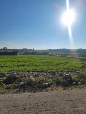 Residential Land for Sale in Amman Naour