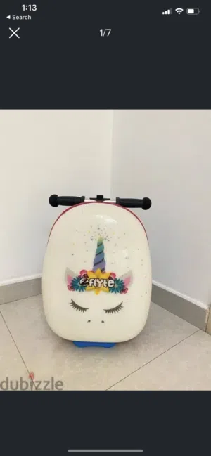 Scooter Bag ZINKFLYTE company