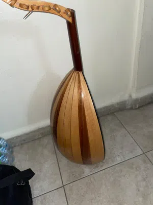 عود للبيع نضيف