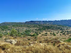 Farm Land for Sale in Ramallah and Al-Bireh Other