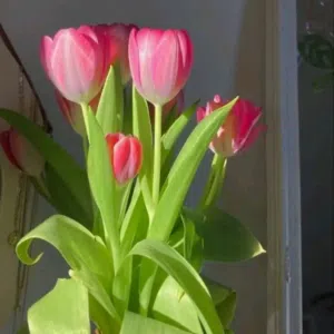 عبدالله محمد غلاب قاائد 