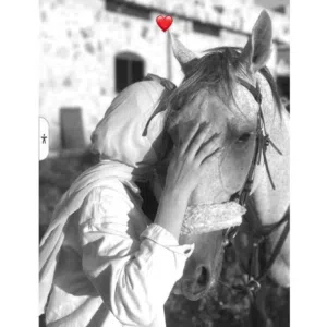 Lameesatiyat 