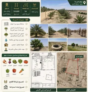 Farm Land for Sale in Al Sharqiya Sinaw