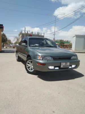 Used Toyota Corolla in Ma'an