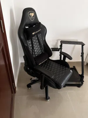 لعشاق القيمنق والسباق! كرسي Cougar وستاند سباق بسعر مغري!
