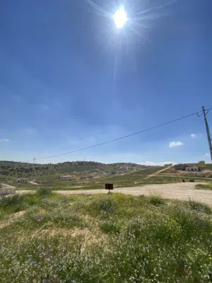 Residential Land for Sale in Zarqa Birayn
