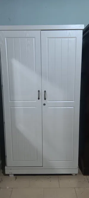 2 dor cabinet