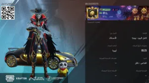 حساب ببجي البيع يد بيد فقط