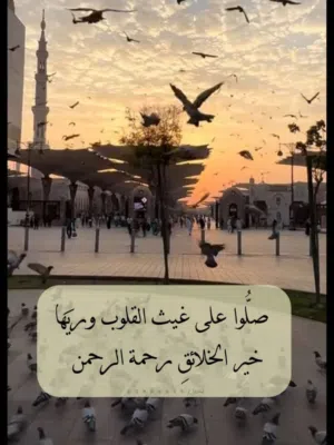 توصيل مشاوير وطلبات صنعاء  وتوصيل مشاوير خط طويل