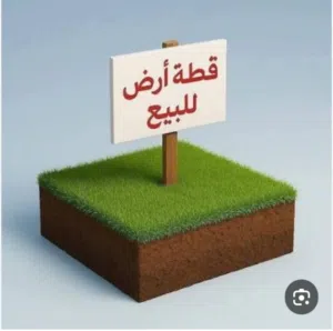 قطعة أرض نهاية السيده عائشه