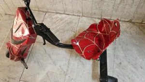 Kids Scooter