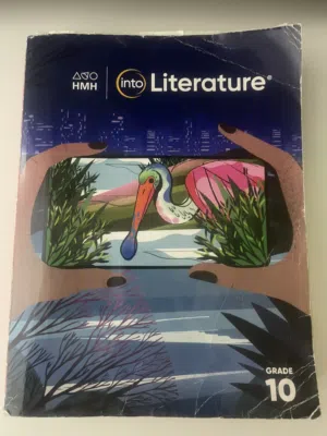 literature book for sale 589 pages