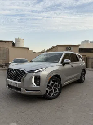 هيواندي باليسيد كول غرافي 2021