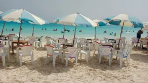 جهاد هشام 