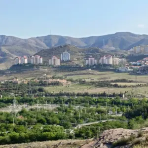 زين العابدين 