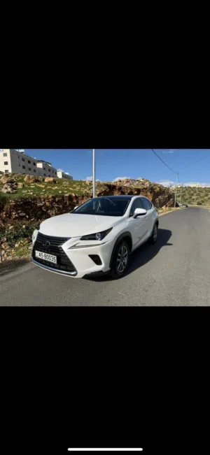 Used Lexus NX in Amman