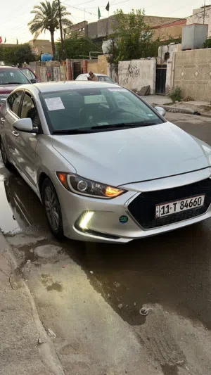 النترا 2018 أمريكي