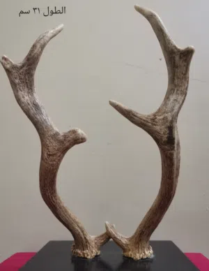 تحفه لتزيين المنازل والمجالس