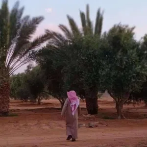 عبدالله مطاوع 