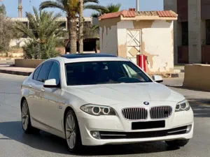 Bmw .f10 ViB .535