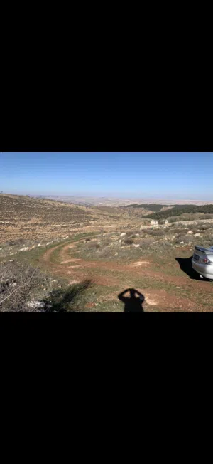 Mixed Use Land for Sale in Zarqa Birayn