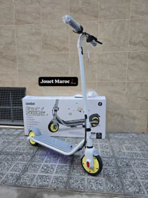 TROTTINETTE NINEBOT ZING C10