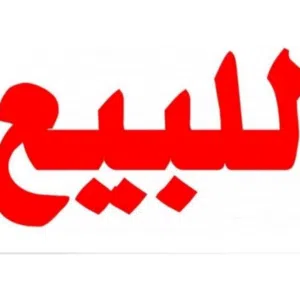 Amer 