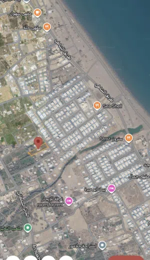 صحار الهمبار