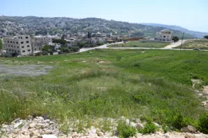Residential Land for Sale in Amman Naour
