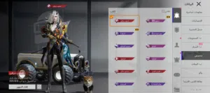Pubg Accounts and Characters for Sale in Dubai