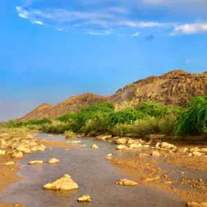 سيف 
