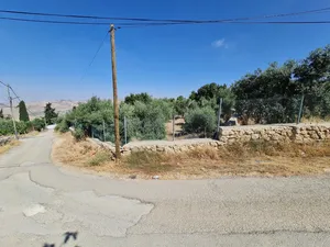 Mixed Use Land for Sale in Amman Mahes