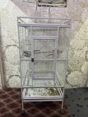 Big bird cage clean