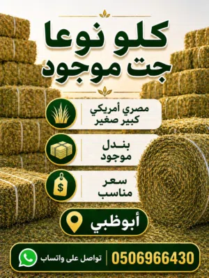 جت موجود امريكي مصري feel free to contact me jazakAllah