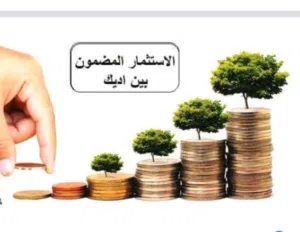مكتب إداري يصلح لأي نشاط شركة مقاولات أو شركة تجارية او شركة سياحة وسفر أومكتب استشاري هندسي ...ألخ