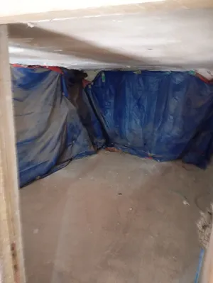 Monthly . 150 m24