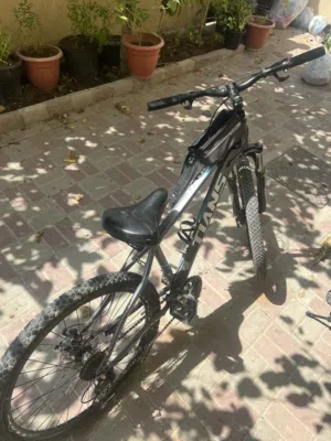 Collection of Two Mountain Bikes for Sale