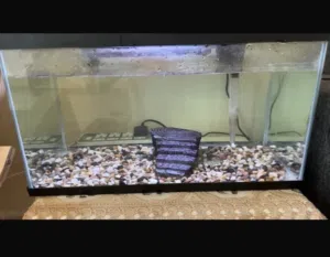 aquarium tank