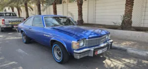 بيوك سكاي لارك 1976