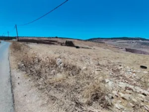 Mixed Use . 650 m2 . Agent1