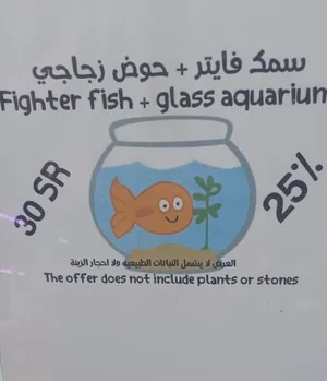 سمك فايتر +حوض زجاجي 