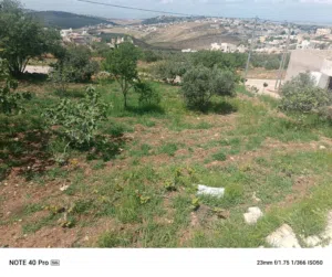 Residential Land for Sale in Irbid Al Mazar Al-Shamali
