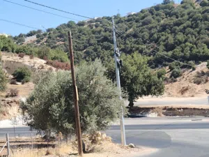 بدر الجديده الشراب خارج التنظيم على شارعين  شارع 30م وشارع 14م فرصه استثمارية رائعة