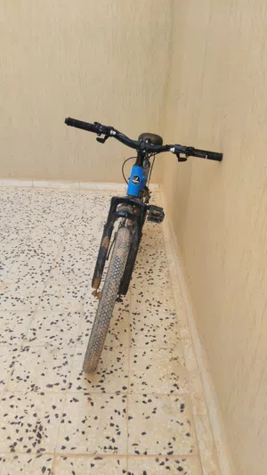 سيكل 24 ماشلت ماصطوريات