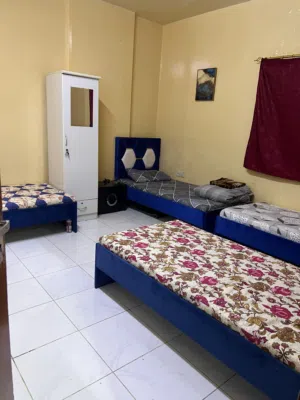 سكن مشترك شرينج شرينغ شرينك سراير سنجل سنغل بارتشن غرف تخت عزاب عذاب مشاركة سكن شباب شبابي رخيص