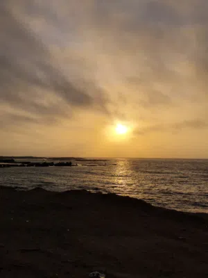 عبدو 