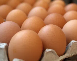 بيض عمان طازج – 30 حبة