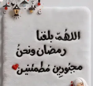 member-1696601866.8321788 