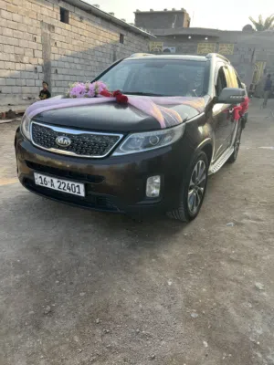 سورنتو مديل 14 خليجي