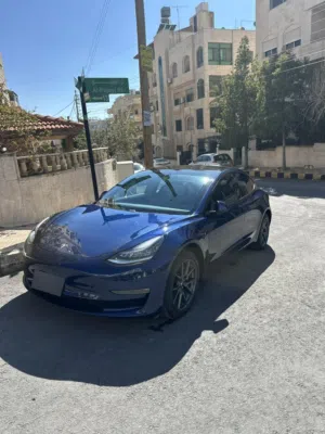 tesla model 3 2021 standard